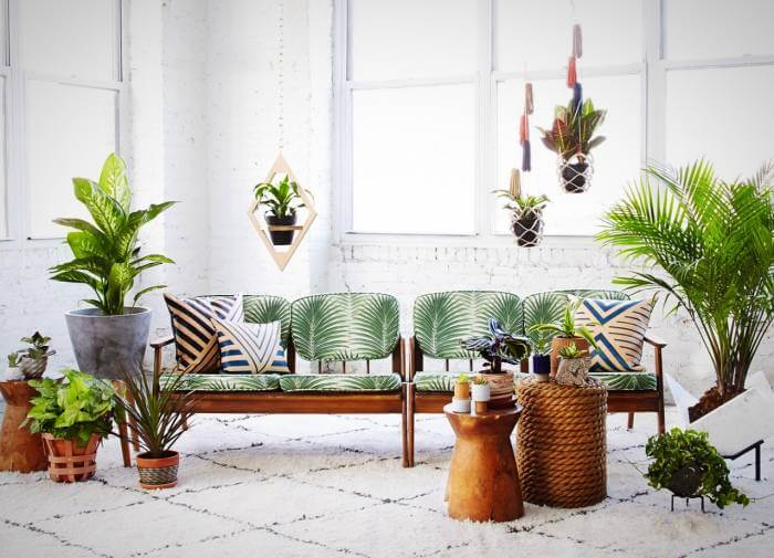 چند ایده برای تزئین خانه با چیدمان زیبای گیاهان آپارتمانی - وبسایت آستیاژ
